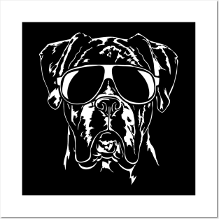 Funny Boxer Dog sunglasses cool dog gift Posters and Art